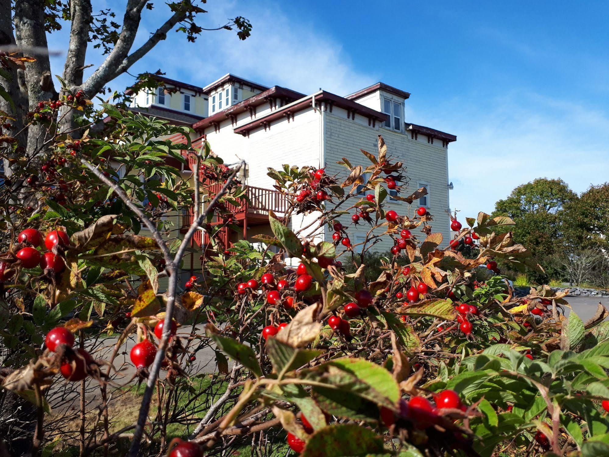Homeport Historic B&B Saint John Ngoại thất bức ảnh